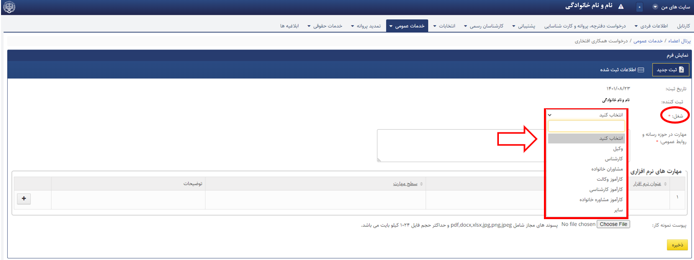 قلم اطلاعاتی شغل